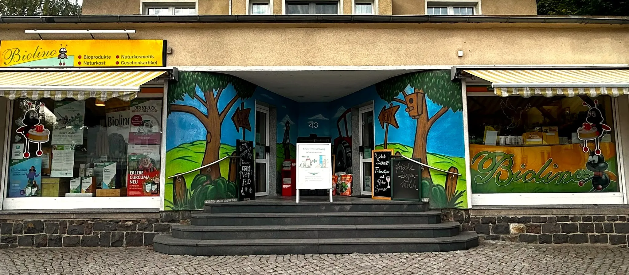 Ladenfront des Biolino Naturmarkts in der Oberfrohnaer Straße 43 mit bemalter Fassade und Markisen